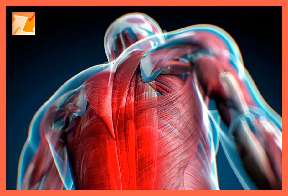 Características do malestar